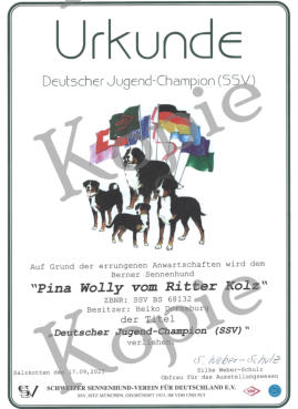 Pina Wolly vom Ritter Kolz