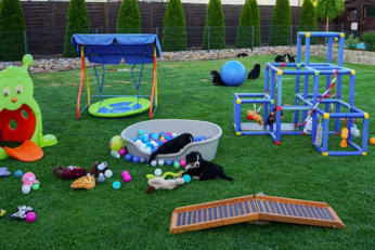 Unser Spielplatz im Garten
