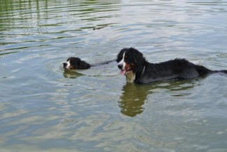 Kosma (Thila) & Kamy