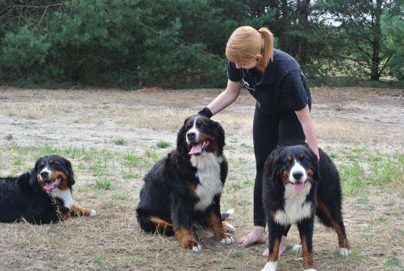 v.l.n.r.: Leo-Mailo, Lotta, Papa Timur, Mama Rieke, Hiska, Leika-Inya, Luna, Kamy, Käthe, Kora, Luke-Rudi, Lucy, Kero, Lehmann, Lexa, Kosma (Thila), Kenny & Lissy