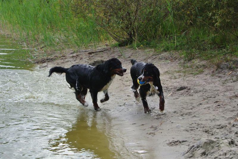 Rieke und Timur's K- & L-Kinder