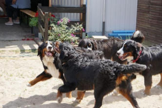 Lotta, Lissy, Kosma (Thila) & Leo-Mailo
