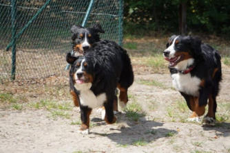 Luke-Rudi, Lissy & Leo-Mailo