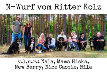 N-Wurf