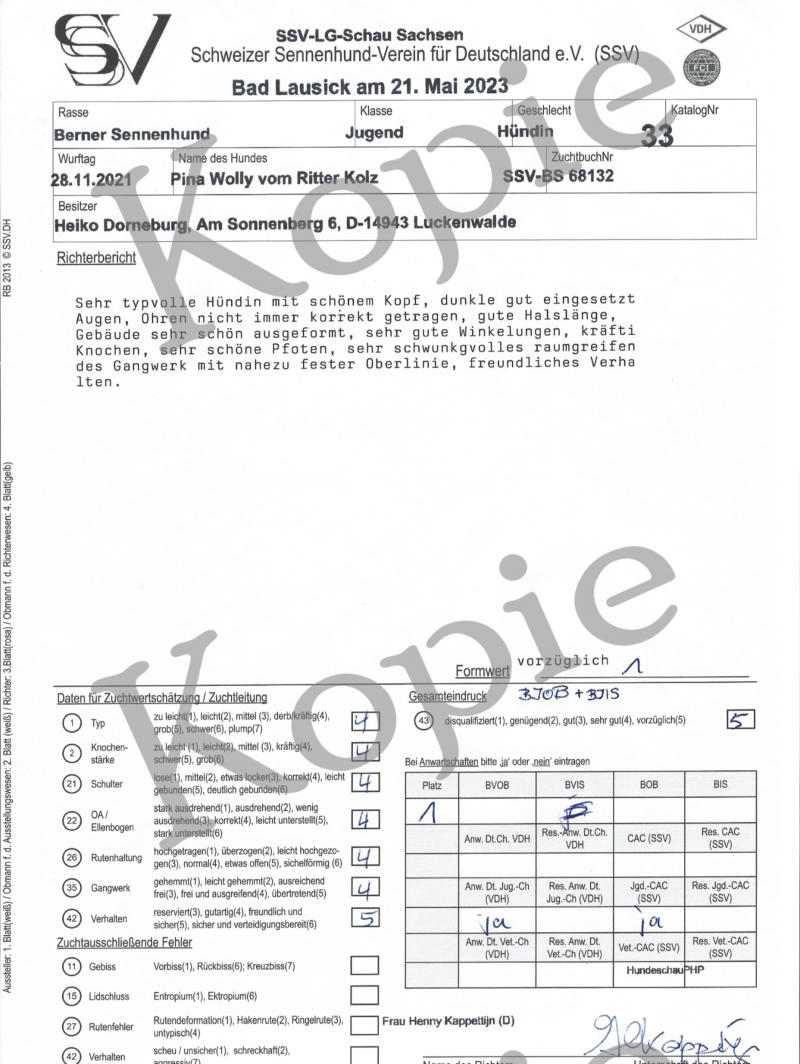 Rieke von de Wildenhayn - Veteranenklasse 1 - V1, BVOB & BVIS